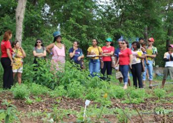 CNBB apoiou, em 2025, 234 projetos de Ecologia Integral com R$ 7.236.241,96 e está beneficiando 918.969 pessoas em todo país