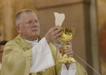 Na COP 30 na Amazônia, cardeal Spengler, presidente da CNBB, pede conversão interior diante da crise climática