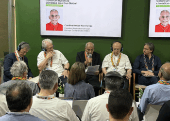 COP30 e a justiça climática no Sul Global: “horizonte na busca de uma convivência harmônica”