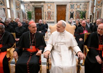 Leão XIV: trabalho da Doutrina da Fé oferece uma palavra pronta e clara da Igreja