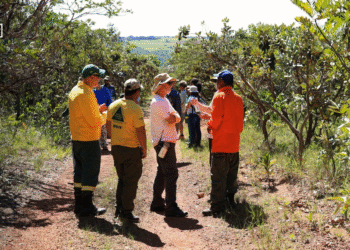 Série “Fraternidade em Ação” é relançada e apresenta projetos apoiados pelo Fundo Nacional de Solidariedade (FNS) em 2025