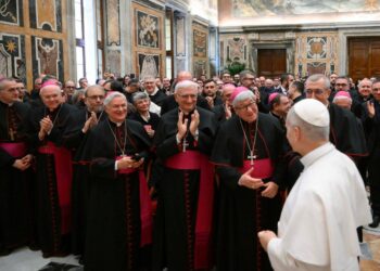 Leão XIV: formação teológica, investimento capaz de neutralizar a lógica da indiferença