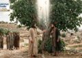Evangelho na Vida e na Pastoral, com Pe. Antônio Carlos Rodrigues, 24-08-2026